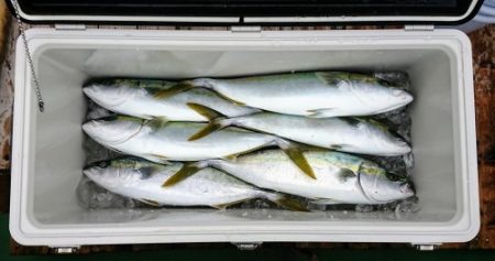 火遠理丸（ほおりまる） 釣果