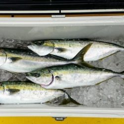 火遠理丸(ほおりまる) 釣果