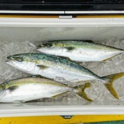 火遠理丸(ほおりまる) 釣果
