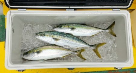 火遠理丸(ほおりまる) 釣果