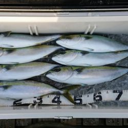 火遠理丸（ほおりまる） 釣果