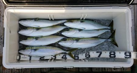 火遠理丸（ほおりまる） 釣果