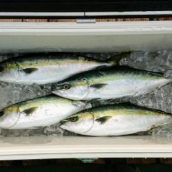 火遠理丸(ほおりまる) 釣果