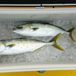 火遠理丸(ほおりまる) 釣果