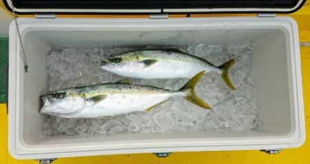 火遠理丸(ほおりまる) 釣果