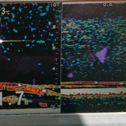 火遠理丸（ほおりまる） 釣果