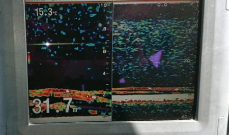 火遠理丸（ほおりまる） 釣果