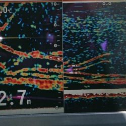 火遠理丸（ほおりまる） 釣果