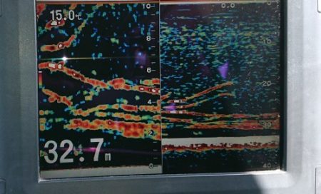 火遠理丸（ほおりまる） 釣果