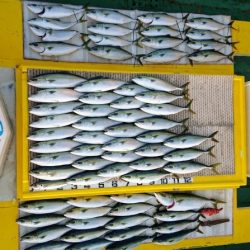 火遠理丸(ほおりまる) 釣果