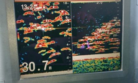 火遠理丸(ほおりまる) 釣果