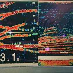 火遠理丸(ほおりまる) 釣果