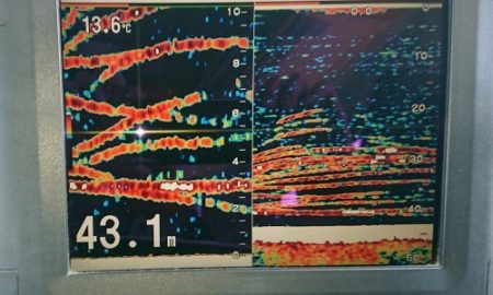 火遠理丸(ほおりまる) 釣果