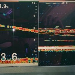 火遠理丸(ほおりまる) 釣果