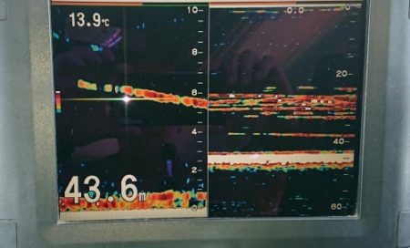 火遠理丸(ほおりまる) 釣果