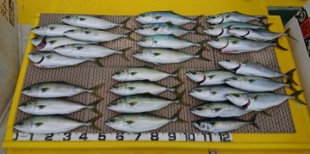 火遠理丸（ほおりまる） 釣果