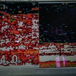 火遠理丸(ほおりまる) 釣果