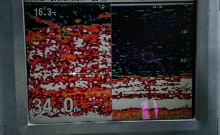 火遠理丸(ほおりまる) 釣果