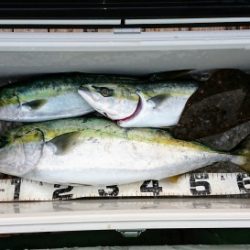 火遠理丸(ほおりまる) 釣果