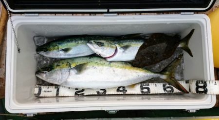 火遠理丸（ほおりまる） 釣果