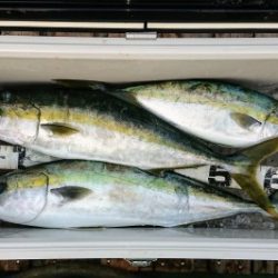 火遠理丸(ほおりまる) 釣果