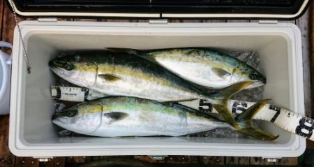 火遠理丸(ほおりまる) 釣果