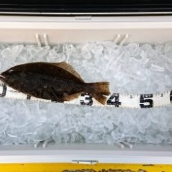 火遠理丸(ほおりまる) 釣果