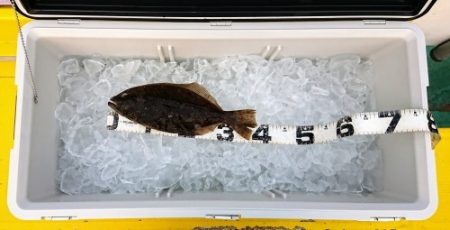 火遠理丸(ほおりまる) 釣果