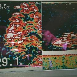 火遠理丸(ほおりまる) 釣果