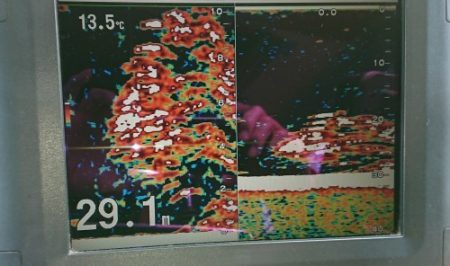 火遠理丸(ほおりまる) 釣果