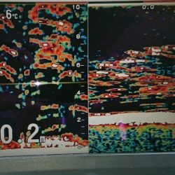 火遠理丸(ほおりまる) 釣果