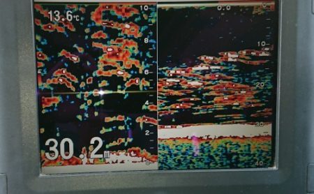 火遠理丸(ほおりまる) 釣果