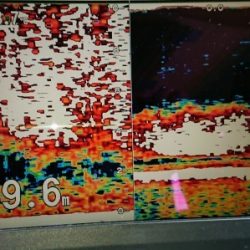 火遠理丸(ほおりまる) 釣果