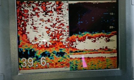 火遠理丸(ほおりまる) 釣果