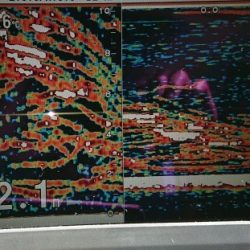 火遠理丸(ほおりまる) 釣果