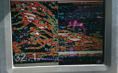 火遠理丸(ほおりまる) 釣果