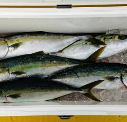 火遠理丸(ほおりまる) 釣果