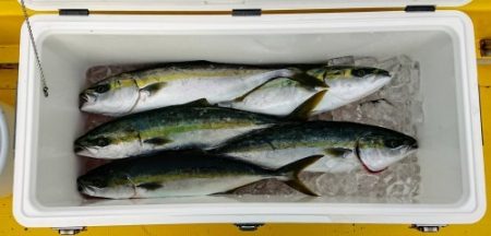 火遠理丸(ほおりまる) 釣果