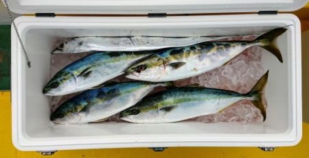 火遠理丸（ほおりまる） 釣果