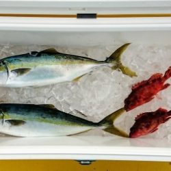 火遠理丸(ほおりまる) 釣果