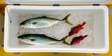 火遠理丸(ほおりまる) 釣果