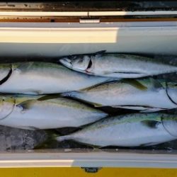 火遠理丸(ほおりまる) 釣果