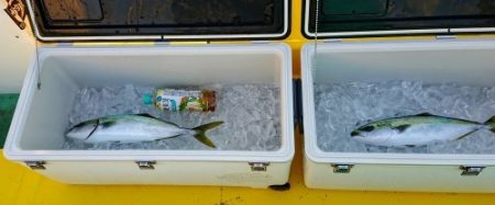 火遠理丸(ほおりまる) 釣果