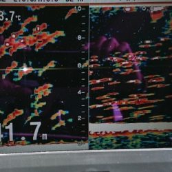 火遠理丸(ほおりまる) 釣果