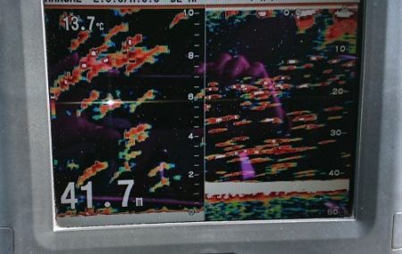 火遠理丸(ほおりまる) 釣果