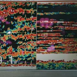 火遠理丸(ほおりまる) 釣果