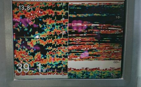 火遠理丸(ほおりまる) 釣果