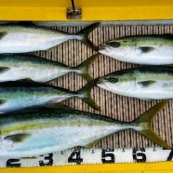 火遠理丸(ほおりまる) 釣果