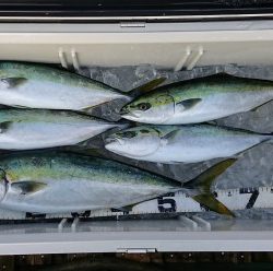 火遠理丸(ほおりまる) 釣果