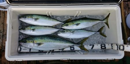 火遠理丸(ほおりまる) 釣果